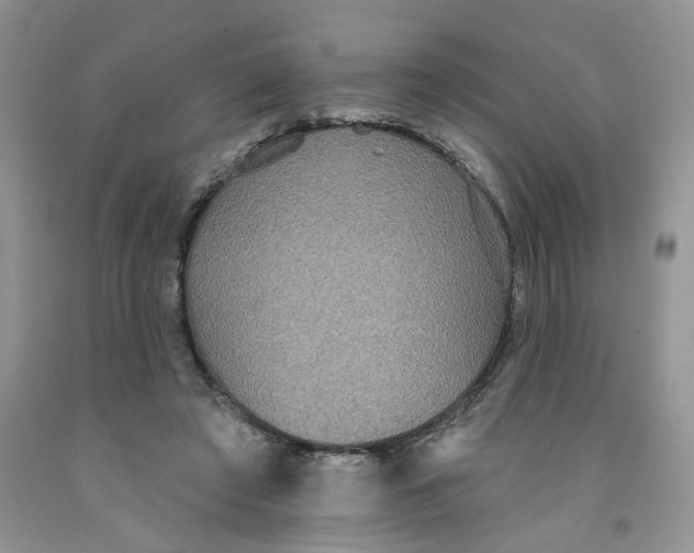 X0000091510401200709141359