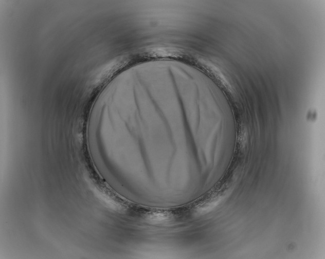 X0000091510402200709141359