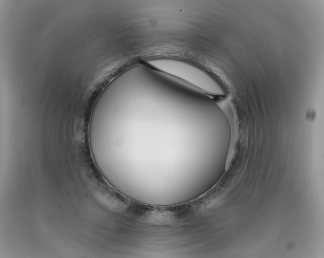 X0000091510403200709141359