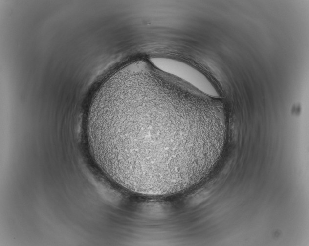 X0000091510404200709141359