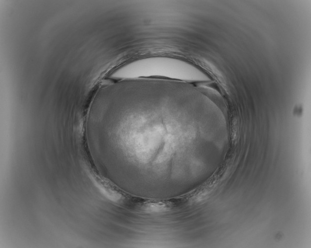 X0000091510405200709141359