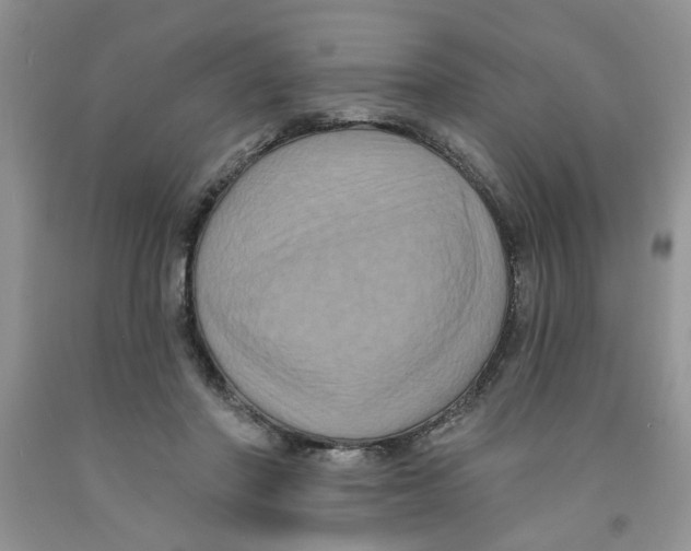 X0000091510406200709141359