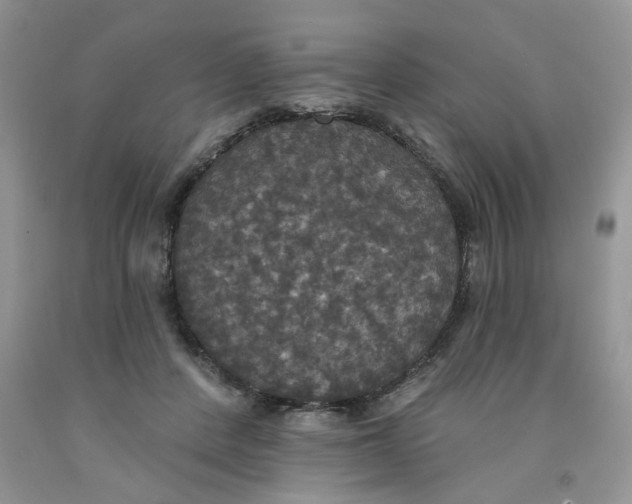 X0000091510408200709141359