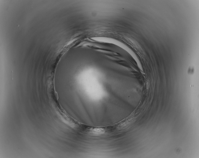 X0000091510409200709141359