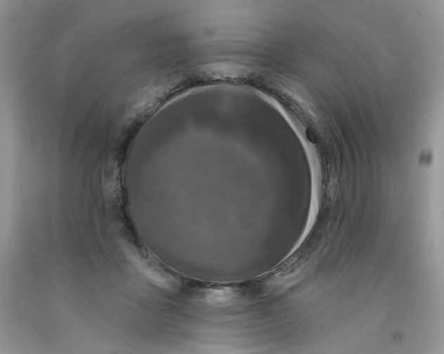 X0000091510411200709141358