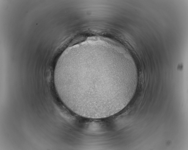 X0000091510412200709141358