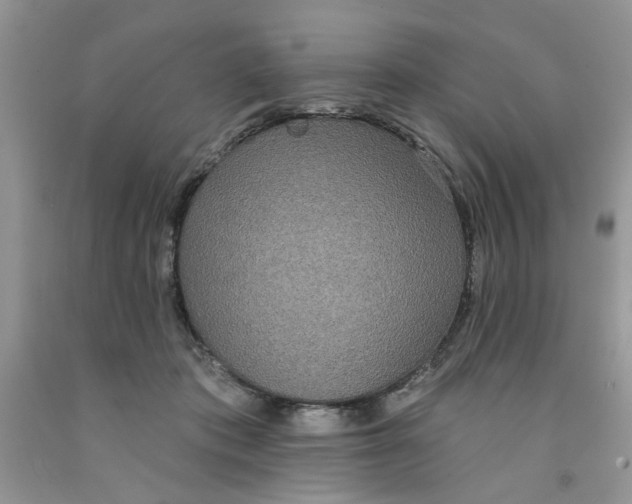 X0000091510413200709141358