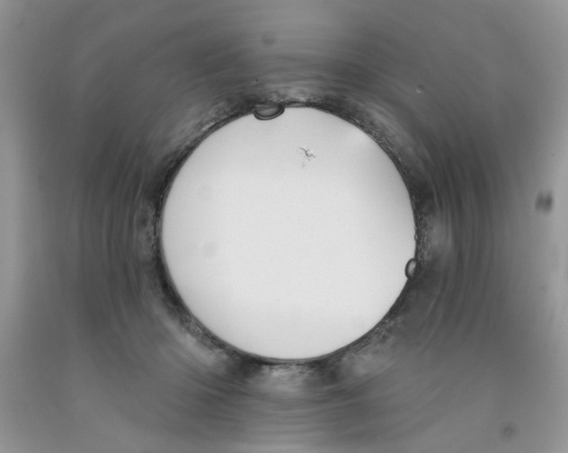 X0000091510414200709141358