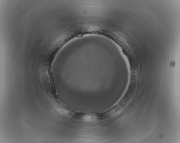 X0000091510415200709141358