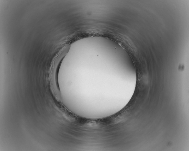 X0000091510416200709141358