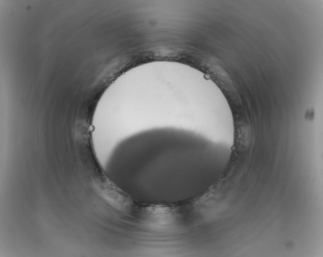 X0000091510419200709141358