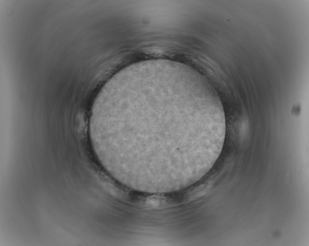 X0000091510420200709141358