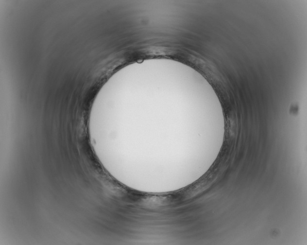 X0000091510422200709141358