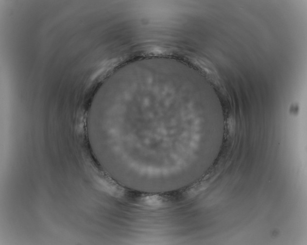 X0000091510423200709141358