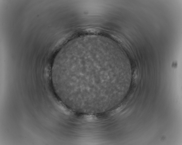 X0000091510424200709141358