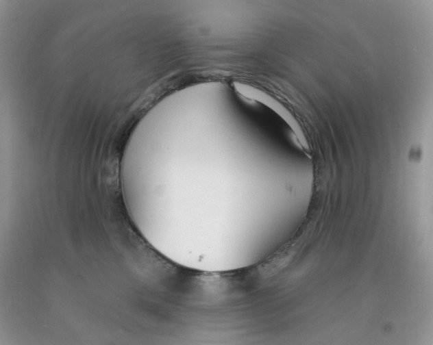 X0000091510425200709141358