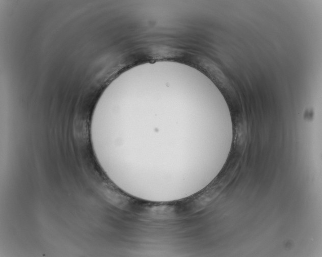 X0000091510426200709141358