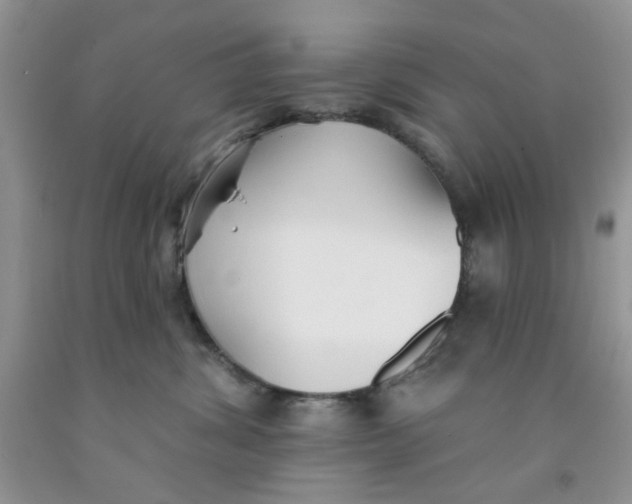 X0000091510428200709141358