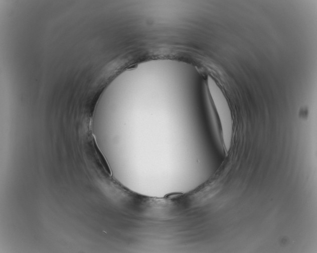 X0000091510429200709141358