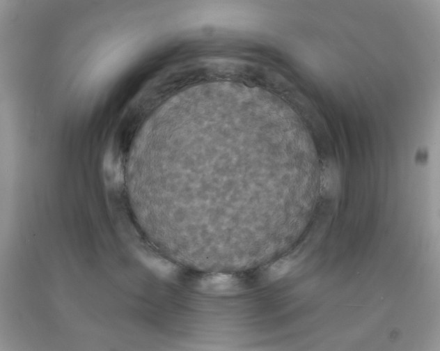 X0000091510431200709141358