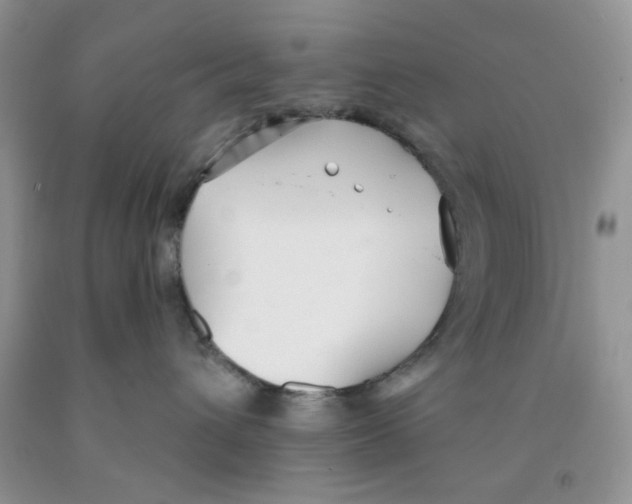 X0000091510432200709141358