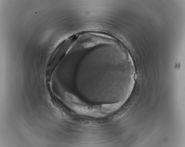 X0000091510434200709141358