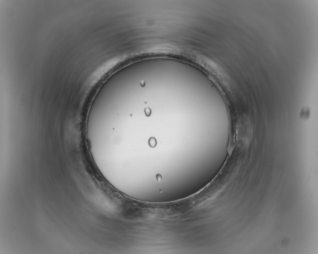 X0000091510436200709141358