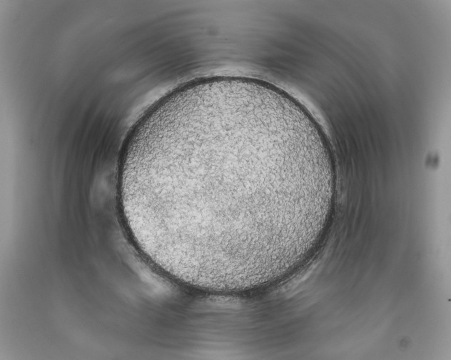 X0000091510437200709141358