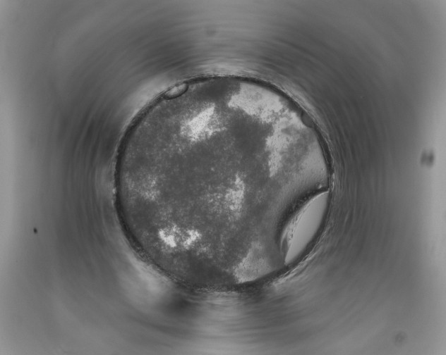 X0000091510438200709141358