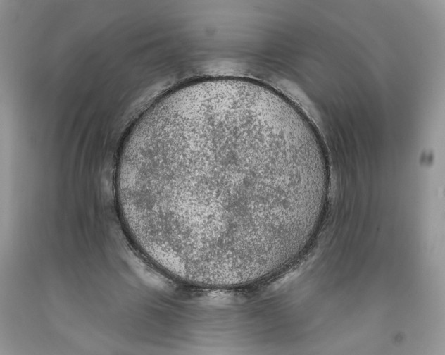 X0000091510441200709141358