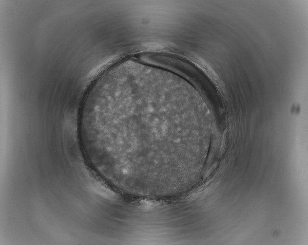 X0000091510442200709141358