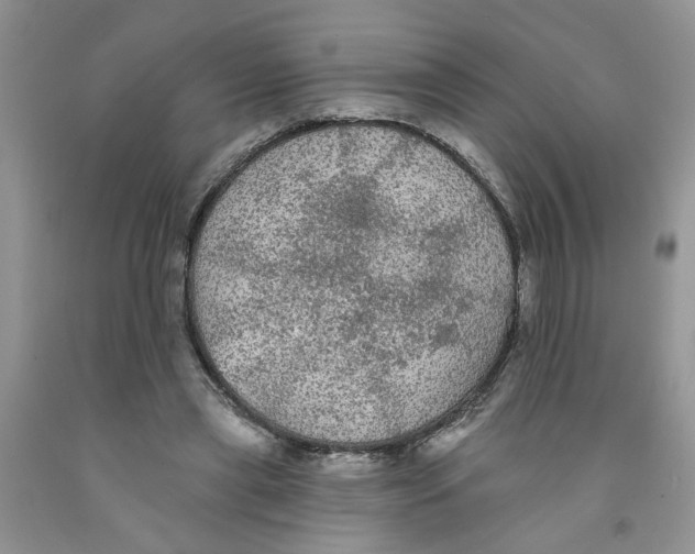 X0000091510445200709141358