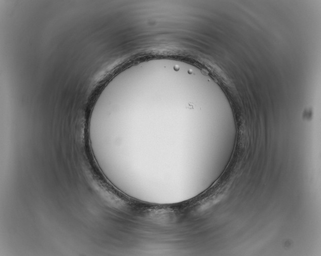 X0000091510446200709141358