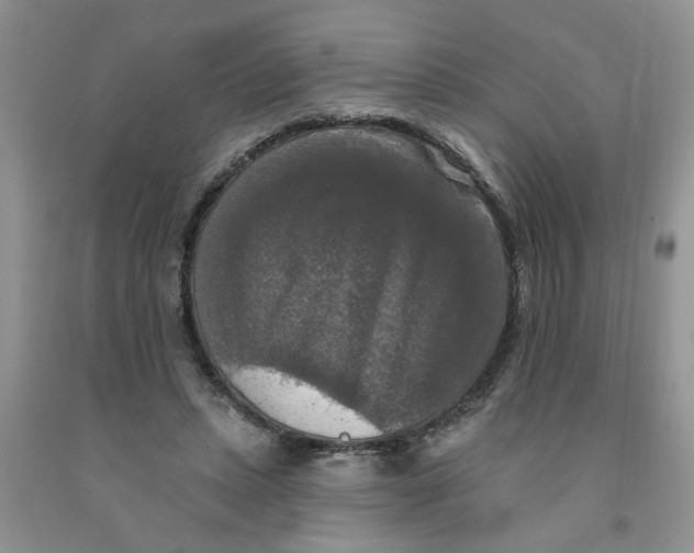 X0000091510447200709141358