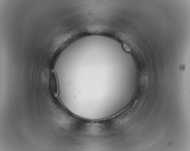 X0000091510448200709141358