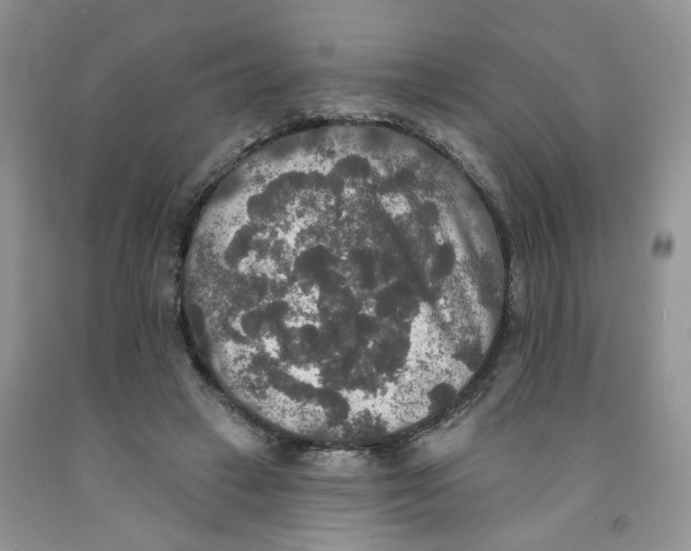 X0000091510449200709141358