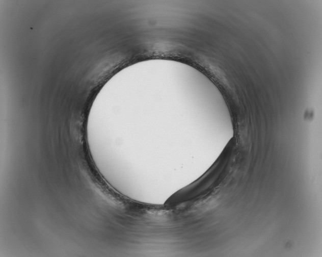 X0000091510450200709141358