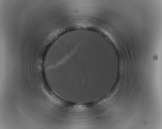 X0000091510451200709141358