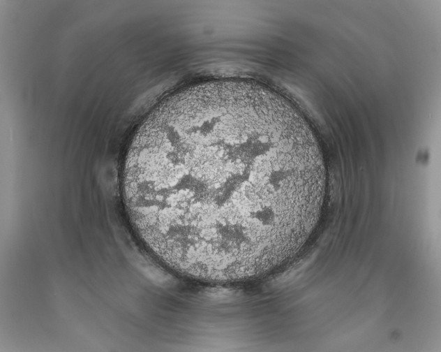 X0000091510453200709141358