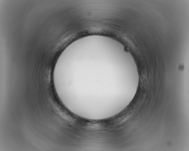 X0000091510454200709141358