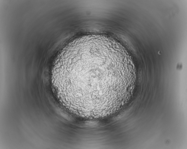 X0000091510457200709141358