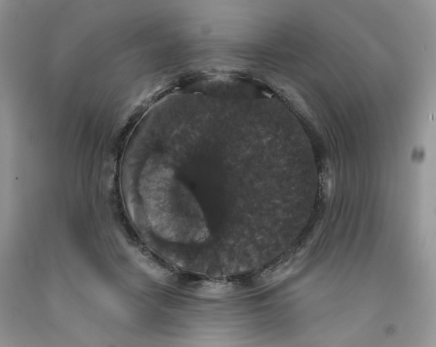 X0000091510458200709141358