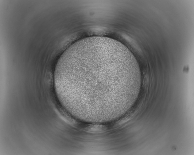 X0000091510459200709141358