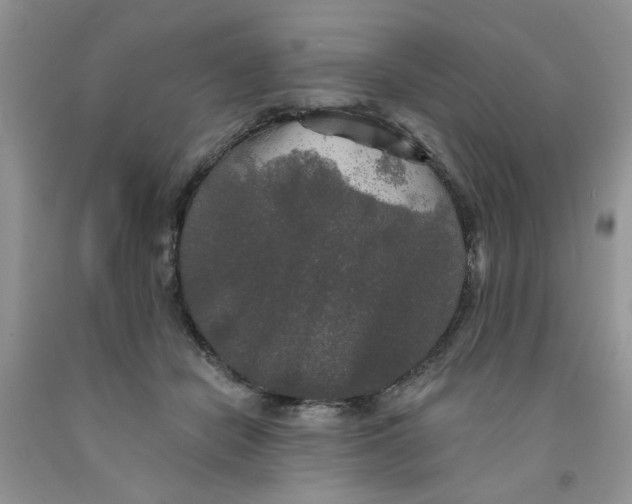 X0000091510462200709141358