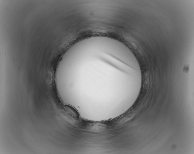 X0000091510463200709141358