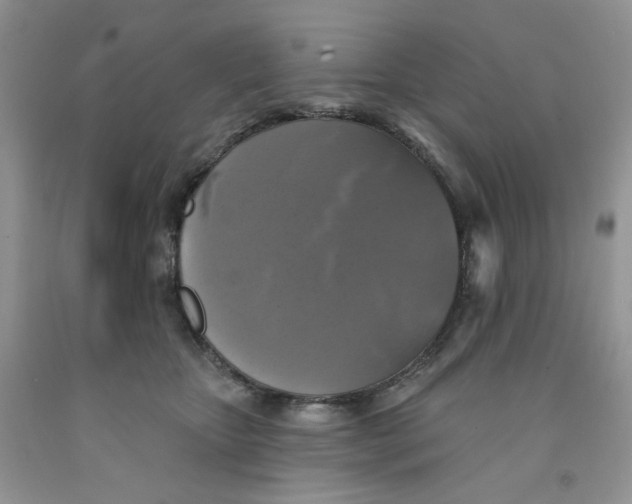 X0000091510467200709141358