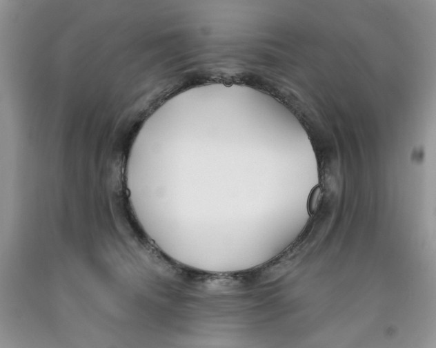 X0000091510468200709141358