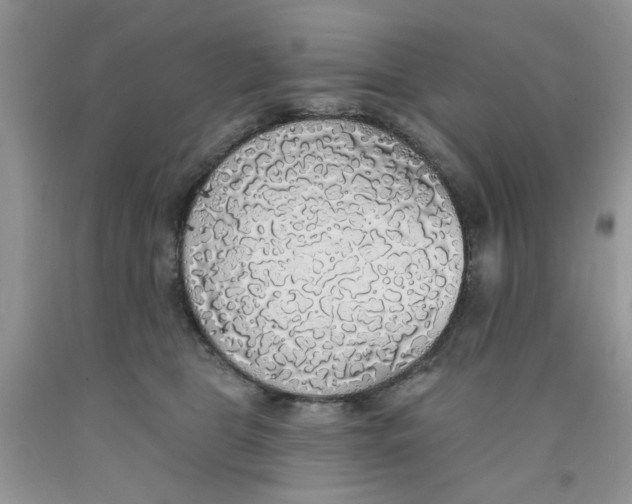 X0000091510469200709141358