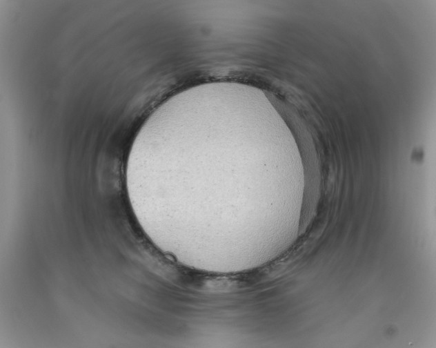 X0000091510470200709141358