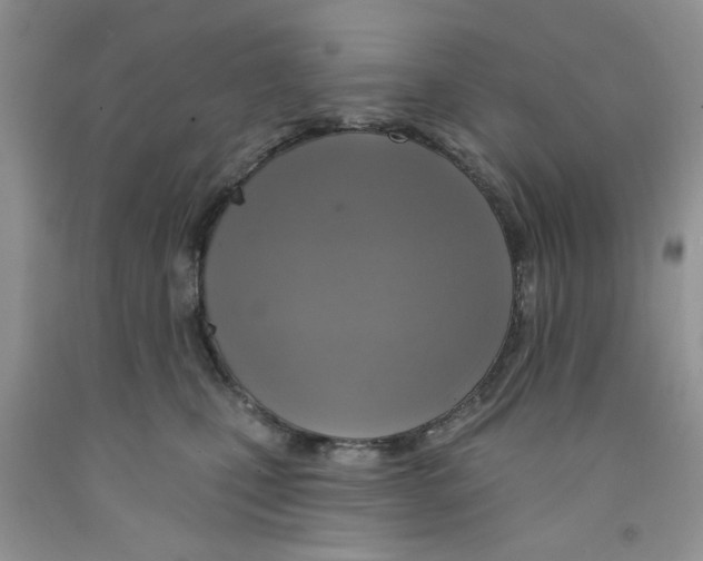 X0000091510471200709141358